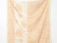 nani IRO Fuwari fuwari fragrant garden nani IRO Fuwari fuwari fragrant garden