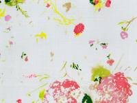 nani IRO ENCOUNTER B nani IRO ENCOUNTER B