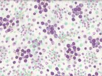 Blueberry double gauze Blueberry double gauze