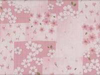 Sakura Patch rosa