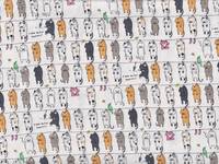 Katzenwäsche weiß Katzenwäsche weiß