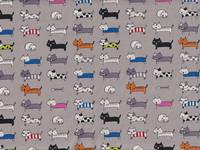 Katzen klein grau Katzen klein grau