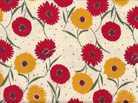 Daisy natur Daisy natur