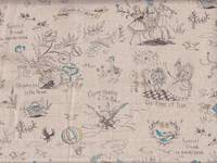 Wonderful Wizard Wonderful Wizard