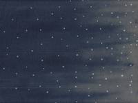 Raising dot navy Raising dot navy