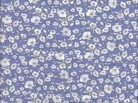 Lune et fleurs Lune et fleurs