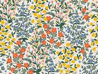 Cotton+Steel Camont - Wildwood Garden - Cream Canvas Cotton+Steel Camont - Wildwood Garden - Cream Canvas