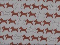 Esel graublau Esel graublau