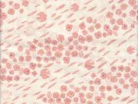 Vogel & Blumen creme double gauze Vogel & Blumen creme double gauze