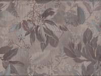 Blätter braun Blätter braun