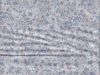 Blumen blau Blumen blau