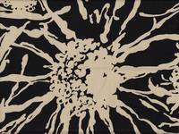 Blumen groß schwarz Blumen groß schwarz