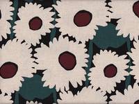 Gerbera grün Gerbera grün