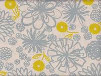 Dandelion grau Dandelion grau