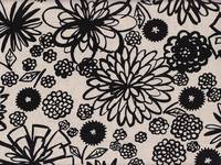 Dandelion schwarz Dandelion schwarz