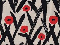 Cactus Flower Cactus Flower