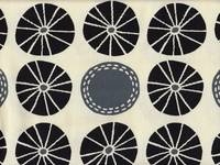 Kurage weiß Kurage weiß