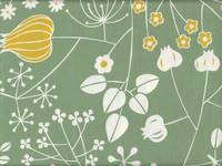 Cache Cache 150 grün Cache Cache 150 grün