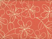 Smiling 150 lachs Smiling 150 lachs