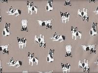 Hunde beige Hunde beige