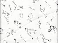 Miau weiß Miau weiß