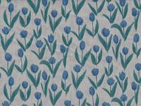 Tulpe grau Tulpe grau