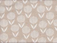 Tulpe weiß Tulpe weiß