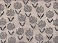 Tulpe schwarz Tulpe schwarz