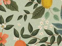 Cotton+Steel Bramble - Citrus Grove - Mint Unbleached Canvas Cotton+Steel Bramble - Citrus Grove - Mint Unbleached Canvas