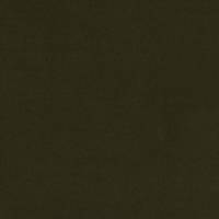 uni Vintage Green (Canvas) uni Vintage Green (Canvas)