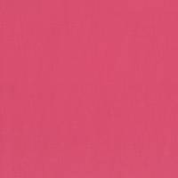 uni coral pink (Canvas) uni coral pink (Canvas)