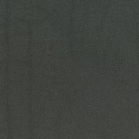 uni pale gray (Canvas) uni pale gray (Canvas)