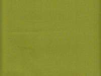 uni grün (Canvas) uni grün (Canvas)