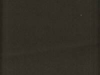 uni jägergrün (Canvas) uni jägergrün (Canvas)