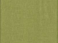 uni grün (M) uni grün (M)