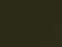 uni Vintage Green (Canvas) uni Vintage Green (Canvas)