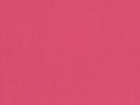 uni coral pink (Canvas) uni coral pink (Canvas)