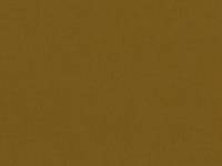 uni dark yellow (Canvas) uni dark yellow (Canvas)