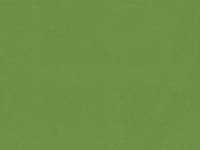 uni green (Canvas) uni green (Canvas)