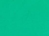 uni mint (Canvas) uni mint (Canvas)