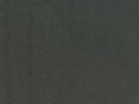 uni pale gray (Canvas) uni pale gray (Canvas)