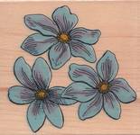 Stempel Vergissmeinnicht Stempel Vergissmeinnicht