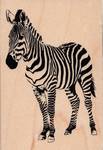 Stempel Zebra Stempel Zebra