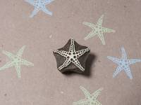 Blockwallah Stempel - Dotted Starfish Blockwallah Stempel - Dotted Starfish