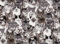 Wachstuch Sepia Cat Wachstuch Sepia Cat