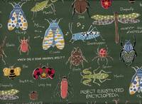 Wachstuch Insect Encyclopedia grün Wachstuch Insect Encyclopedia grün