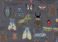 Wachstuch Insect Encyclopedia grau Wachstuch Insect Encyclopedia grau
