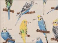 Wachstuch Parakeet natur Wachstuch Parakeet natur