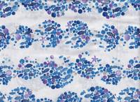 Wachstuch Fische blau Wachstuch Fische blau