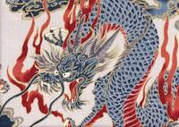 Wachstuch Drachen groß natur Wachstuch Drachen groß natur